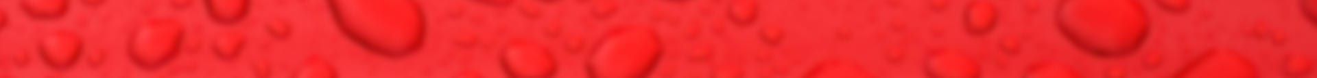 LGS Shop Header