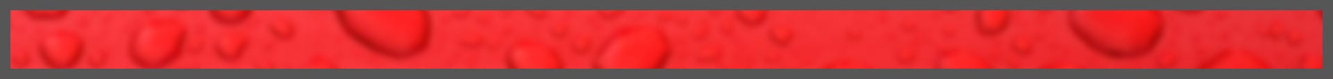 LGS Privacy Policy Header